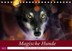 Magische Hunde - Hunde die uns täglich verzaubern (Tischkalender 2022 DIN A5 quer)