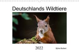 Deutschlands Wildtiere (Wandkalender 2022 DIN A3 quer)