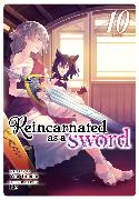 Reincarnated as a Sword (Light Novel) Vol. 10