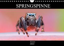 Springspinne Kalender (Wandkalender 2022 DIN A4 quer)
