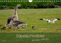 Säbelschnäbler - tollkühne Wattvögel (Wandkalender 2022 DIN A4 quer)