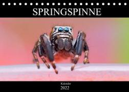 Springspinne Kalender (Tischkalender 2022 DIN A5 quer)