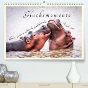 Glücksmomente Glücks-Zitate zu Fotos der großartigen südafrikanischen Tierwelt (Premium, hochwertiger DIN A2 Wandkalender 2022, Kunstdruck in Hochglanz)