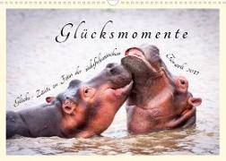 Glücksmomente Glücks-Zitate zu Fotos der großartigen südafrikanischen Tierwelt (Wandkalender 2022 DIN A3 quer)