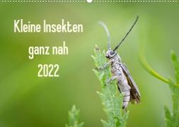 Kleine Insekten ganz nah (Wandkalender 2022 DIN A2 quer)