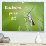 Kleine Insekten ganz nah (Premium, hochwertiger DIN A2 Wandkalender 2022, Kunstdruck in Hochglanz)