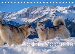 Alaskan Malamute in seinem Element (Tischkalender 2022 DIN A5 quer)