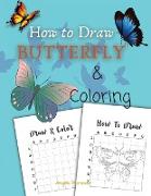 How to Draw Butterfly & Coloring