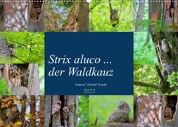 Strix aluco ... der Waldkauz (Wandkalender 2022 DIN A2 quer)