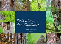 Strix aluco ... der Waldkauz (Wandkalender 2022 DIN A3 quer)