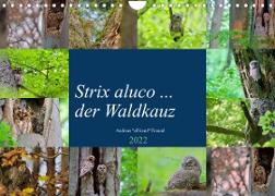 Strix aluco ... der Waldkauz (Wandkalender 2022 DIN A4 quer)