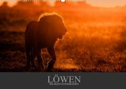 Löwen Wildlife-Fotografien (Wandkalender 2022 DIN A2 quer)