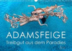 ADAMSFEIGE - Treibgut aus dem Paradies (Wandkalender 2022 DIN A3 quer)