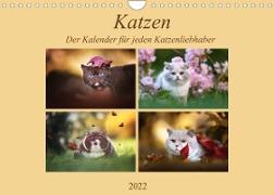 Katzen - Der Kalender für jeden Katzenliebhaber (Wandkalender 2022 DIN A4 quer)