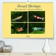 Dwarf Shrimps - kleine Garnelen (Premium, hochwertiger DIN A2 Wandkalender 2022, Kunstdruck in Hochglanz)