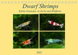 Dwarf Shrimps - kleine Garnelen (Tischkalender 2022 DIN A5 quer)