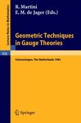 Geometric Techniques in Gauge Theories