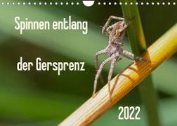 Spinnen entlang der Gersprenz (Wandkalender 2022 DIN A4 quer)