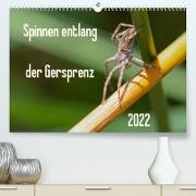 Spinnen entlang der Gersprenz (Premium, hochwertiger DIN A2 Wandkalender 2022, Kunstdruck in Hochglanz)