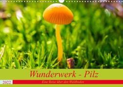 Wunderwerk - Pilz Eine Reise über den Waldboden (Wandkalender 2022 DIN A3 quer)