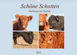 Schöne Schotten - Galloway im Porträt (Wandkalender 2022 DIN A3 quer)