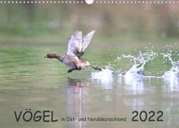 Vögel in Ost- und Norddeutschland 2022 (Wandkalender 2022 DIN A3 quer)