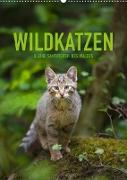 Wildkatzen - Kleine Samtpfoten des Waldes (Wandkalender 2022 DIN A2 hoch)