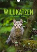 Wildkatzen - Kleine Samtpfoten des Waldes (Wandkalender 2022 DIN A4 hoch)