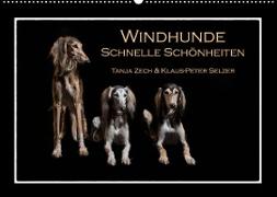 Windhunde - Schnelle Schönheiten (Wandkalender 2022 DIN A2 quer)