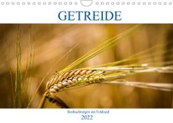 Getreide - Beobachtungen am Feldrand (Wandkalender 2022 DIN A4 quer)