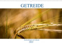Getreide - Beobachtungen am Feldrand (Wandkalender 2022 DIN A3 quer)
