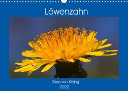 Löwenzahn im Frühjahr (Wandkalender 2022 DIN A3 quer)