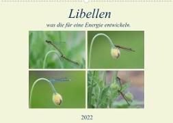 Libellen, was die für eine Energie entwickeln. (Wandkalender 2022 DIN A2 quer)