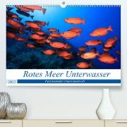 Rotes Meer Unterwasser (Premium, hochwertiger DIN A2 Wandkalender 2022, Kunstdruck in Hochglanz)