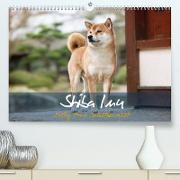 Shiba Inu - mutig, treu, selbstbewusst (Premium, hochwertiger DIN A2 Wandkalender 2022, Kunstdruck in Hochglanz)