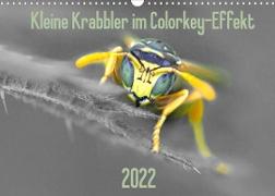 Kleine Krabbler im Colorkey-Effekt (Wandkalender 2022 DIN A3 quer)
