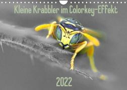 Kleine Krabbler im Colorkey-Effekt (Wandkalender 2022 DIN A4 quer)
