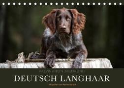 Faszination Jagdhund - Deutsch Langhaar (Tischkalender 2022 DIN A5 quer)