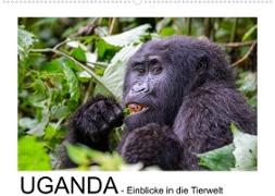 UGANDA - Einblicke in die Tierwelt (Wandkalender 2022 DIN A2 quer)