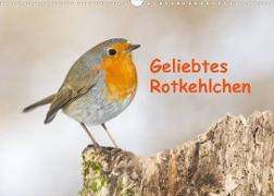 Geliebtes Rotkehlchen (Wandkalender 2022 DIN A3 quer)
