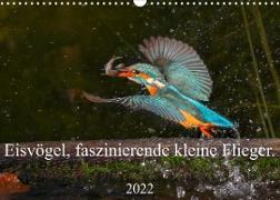 Eisvögel, faszinierende kleine Flieger. (Wandkalender 2022 DIN A3 quer)