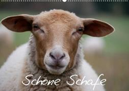 Schöne Schafe (Wandkalender 2022 DIN A2 quer)