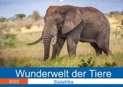 Wunderwelt der Tiere - Südafrika (Wandkalender 2022 DIN A2 quer)