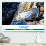 Salzluft (Premium, hochwertiger DIN A2 Wandkalender 2022, Kunstdruck in Hochglanz)