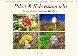 Pilze & Schwammerln (Wandkalender 2022 DIN A4 quer)