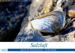 Salzluft (Wandkalender 2022 DIN A3 quer)