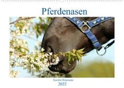 Pferdenasen (Wandkalender 2022 DIN A2 quer)