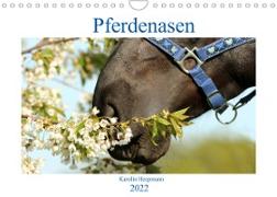 Pferdenasen (Wandkalender 2022 DIN A4 quer)