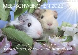 Meerschweinchen 2022 - bezaubernd, hinreißend, entzückend (Wandkalender 2022 DIN A3 quer)