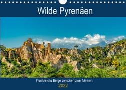 Wilde Pyrenäen (Wandkalender 2022 DIN A4 quer)